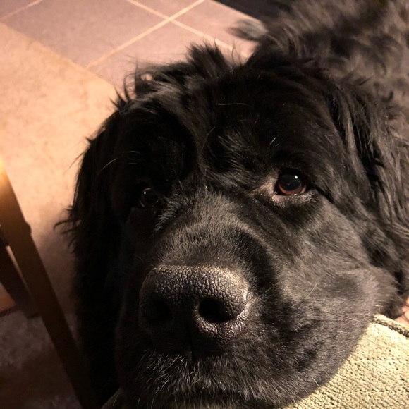 Welcome to my Closet! - Picture 2 of 4